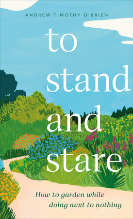 To Stand and Stare Hardcover by Andrew Timothy O'Brien