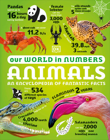 Our World in Numbers Animals: An Encyclopedia of Fantastic Facts Hardcover by DK