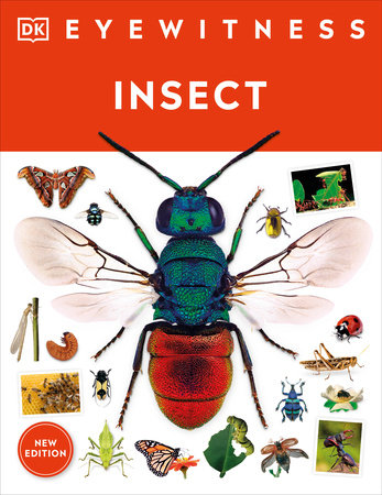 Eyewitness Insect Paperback by DK