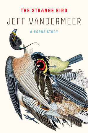 The Strange Bird Paperback by Jeff VanderMeer