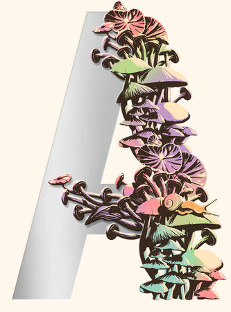 Ambergris: City of Saints and Madmen; Shriek: An Afterword; Finch Paperback by Jeff VanderMeer