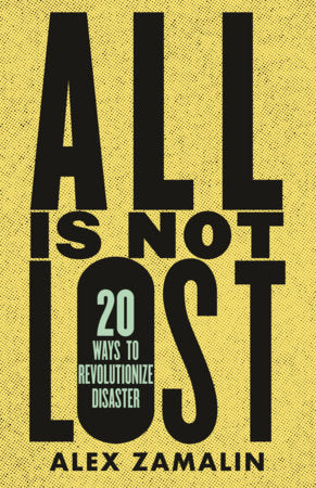 All Is Not Lost Paperback by Alex Zamalin