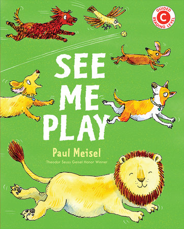 See Me Play Paperback by Written & illustrated by Paul Meisel