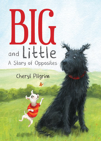 Big and Little Hardcover by written & illustrated by Cheryl Pilgrim