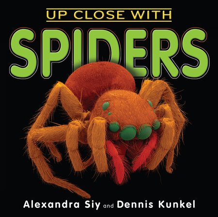 Up Close With Spiders Paperback by Alexandra Siy