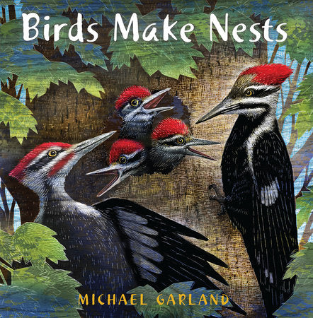 Birds Make Nests Paperback by written & illustrated by Michael Garland