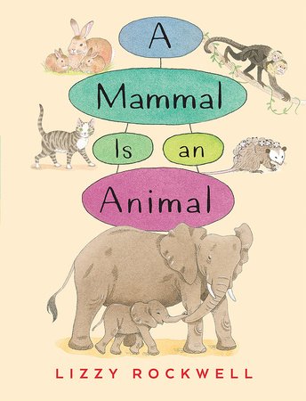A Mammal is an Animal Paperback by Written & illustrated by Lizzy Rockwell