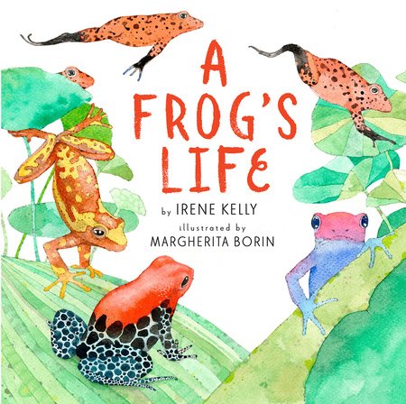 A Frog's Life Paperback by by Irene Kelly; illustrated by Margherita Borin