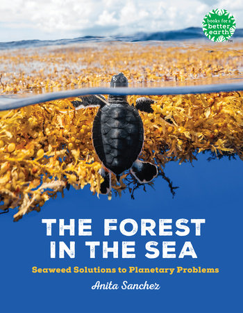 The Forest in the Sea Hardcover by by Anita Sanchez