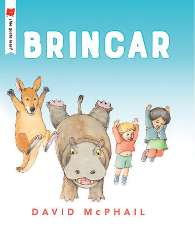 Brincar Paperback by David McPhail