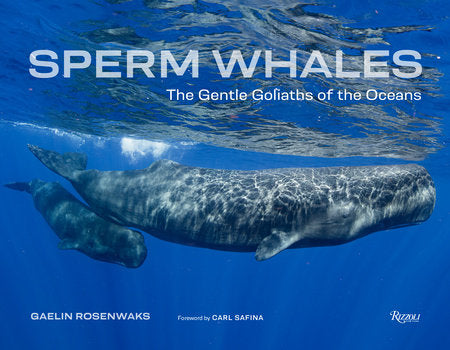 Sperm Whales Hardcover by Gaelin Rosenwaks; Foreword by Carl Safina