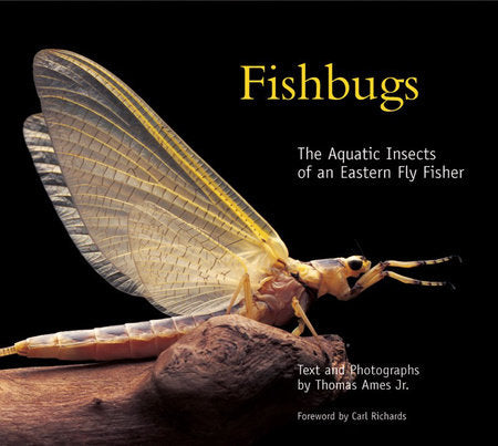 Fishbugs Hardcover by Thomas Ames