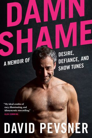 Damn Shame Paperback by David Pevsner