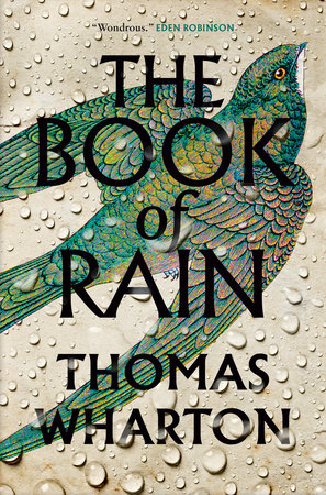 The Book of Rain Hardcover by Thomas Wharton
