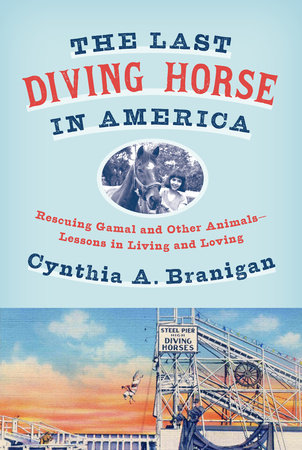 The Last Diving Horse in America Hardcover by Cynthia A. Branigan