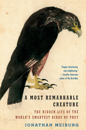 A Most Remarkable Creature Paperback by Jonathan Meiburg