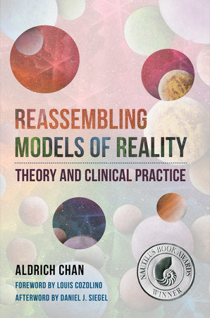 Reassembling Models of Reality Hardcover by Aldrich Chan