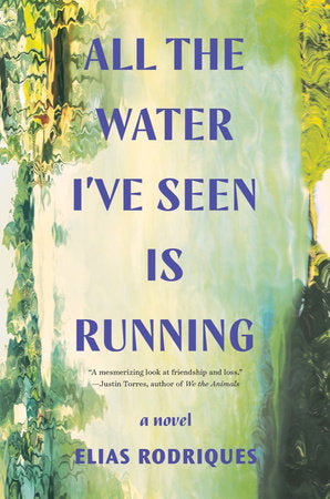 All the Water I've Seen Is Running Paperback by Elias Rodriques