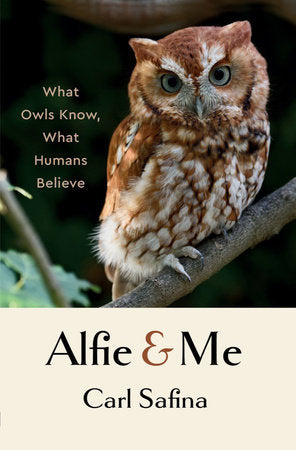 Alfie and Me Hardcover by Carl Safina