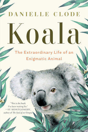 Koala Paperback by Danielle Clode