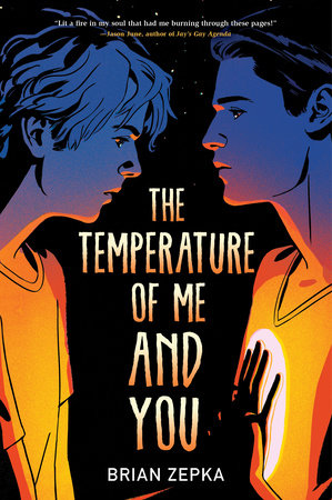 The Temperature of Me and You Paperback by Brian Zepka