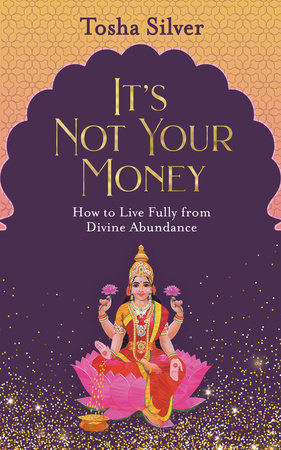 It's Not Your Money Paperback by Tosha Silver