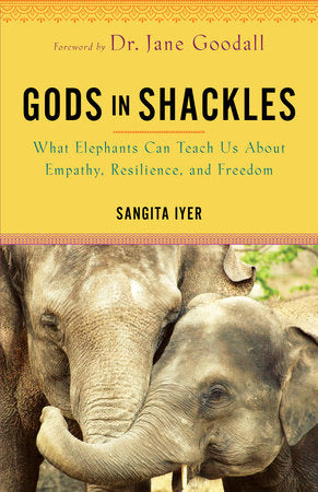 Gods in Shackles Paperback by Sangita Iyer
