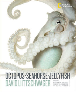 Octopus, Seahorse, Jellyfish Hardcover by David Liittschwager