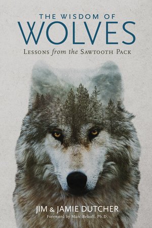 The Wisdom of Wolves Paperback by Jim Dutcher