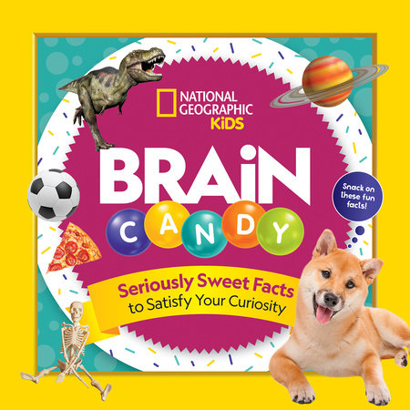 Brain Candy Paperback by Julie Beer