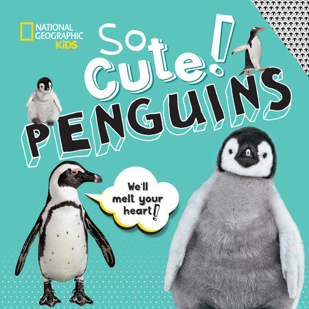 So Cute! Penguins Hardcover by Crispin Boyer