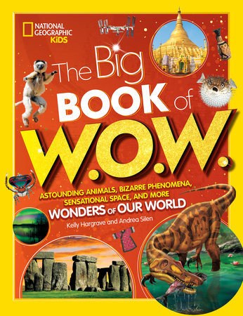 Big Book of W.O.W. Hardcover by Andrea Silen