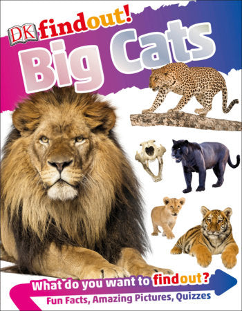 DKfindout! Big Cats Paperback by DK