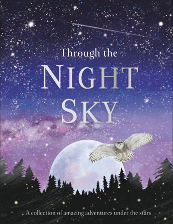 Through the Night Sky Hardcover by DK