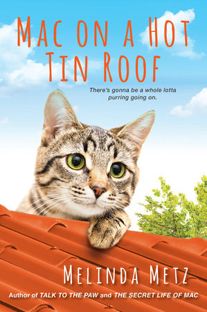 Mac on a Hot Tin Roof Paperback by Melinda Metz