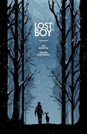 Lost Boy Paperback by Written & illustrated by Jay Martin