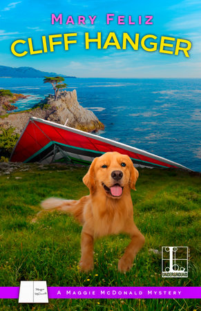 Cliff Hanger Paperback by Mary Feliz