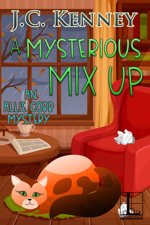 A Mysterious Mix Up Paperback by J.C. Kenney