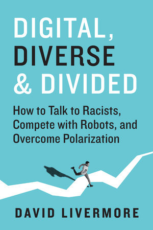 Digital, Diverse & Divided Hardcover by David Livermore