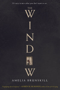 The Window Paperback by Amelia Brunskill
