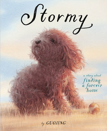 Stormy Hardcover by Written and illustrated by Guojing