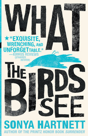 What the Birds See Paperback by Sonya Hartnett