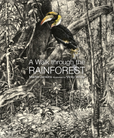 A Walk Through the Rain Forest Hardcover by Martin Jenkins; Illustrated by Vicky White