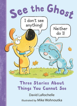 See the Ghost: Three Stories About Things You Cannot See Hardcover by David LaRochelle
