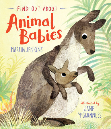 Find Out About Animal Babies Hardcover by Martin Jenkins; Illustrated by Jane McGuinness