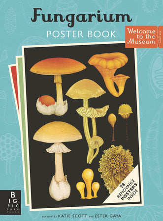Fungarium Poster Book Paperback by Ester Gaya