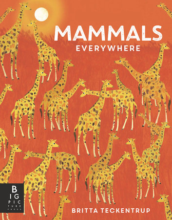 Mammals Everywhere Hardcover by Camilla de la Bedoyere; Illustrated by Britta Teckentrup