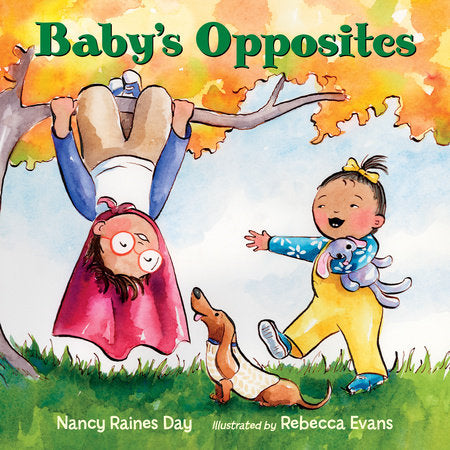 Baby's Opposites Hardcover by Nancy Raines Day (Author);Rebecca Evans (Illustrator)