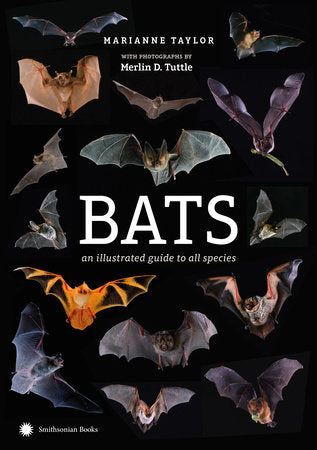 Bats Hardcover by Marianne Taylor
