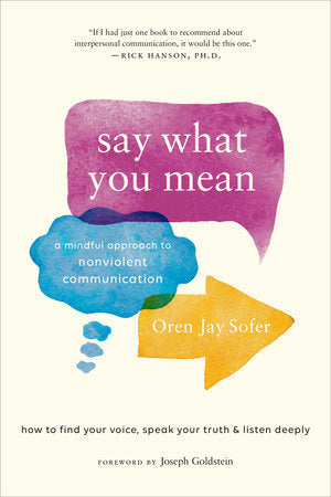 Say What You Mean Paperback by Oren Jay Sofer